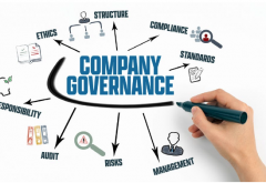 The-importance-of-having-a-robust-governance-framework